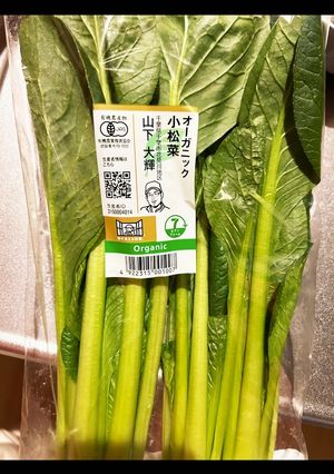 ツナと小松菜(ほうれん草)の炒め物-レシピのメイン写真