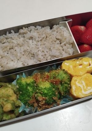 ラグビー小僧のお弁当240308-レシピのメイン写真