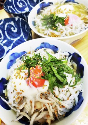 釜揚げしらすうどん(糖質オフ)-レシピのメイン写真