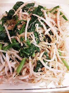 ほうれん草ともやしの味噌和え-レシピのメイン写真