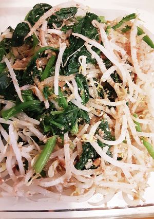ほうれん草ともやしの味噌和え-レシピのメイン写真