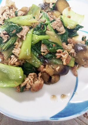 豚肉とチンゲン菜、ナスの中華風炒め-レシピのメイン写真