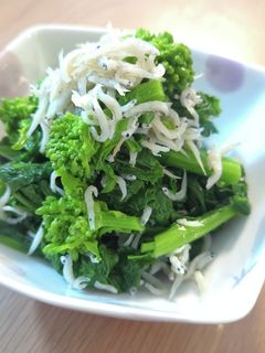 菜の花のしらす和え-レシピのメイン写真