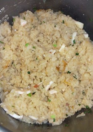 イカのオイスターソース炊き込みご飯-レシピのメイン写真