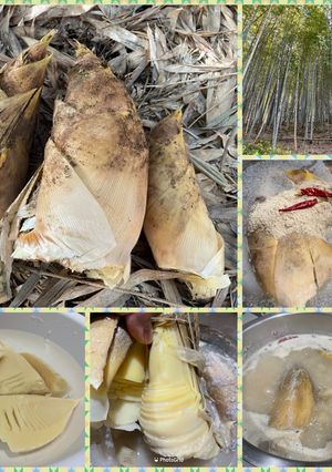 たけのこのぬか茹で（2024）-レシピのメイン写真