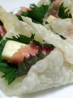 生ハムチーズの餃子の皮包み-レシピのメイン写真