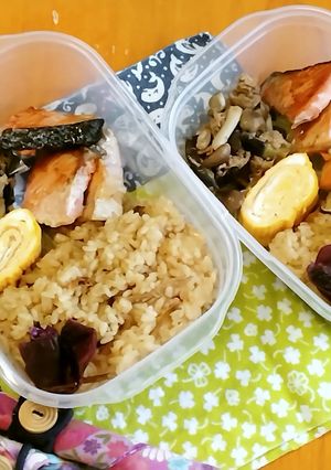 お弁当2024年3月13日-レシピのメイン写真