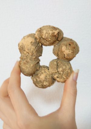 材料3つ!?焼きなこドーナツ(超低カロ)-レシピのメイン写真