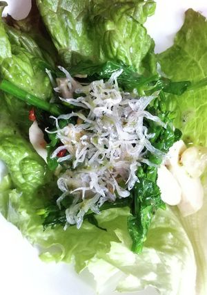 菜の花としらすのジェノベーゼあえ-レシピのメイン写真