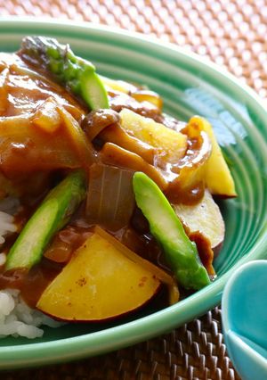 介護食　大豆ミート入りハンバーグカレー-レシピのメイン写真