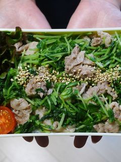 電子レンジで簡単★豆苗と豚肉の丼弁当-レシピのメイン写真