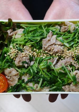 電子レンジで簡単★豆苗と豚肉の丼弁当-レシピのメイン写真