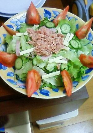 チーズ入り野菜サラダ-レシピのメイン写真