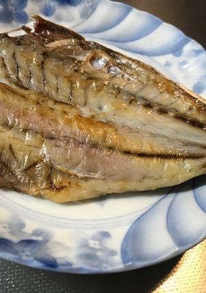 冷蔵庫で乾燥＊自家製アジの干物-レシピのメイン写真