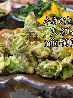 誰でも簡単 さくさく ふきのとう 天ぷら-レシピのメイン写真