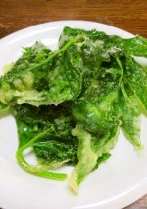 明日葉の天ぷら-レシピのメイン写真