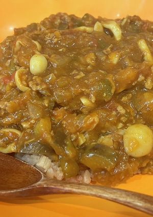 無水カレー-レシピのメイン写真