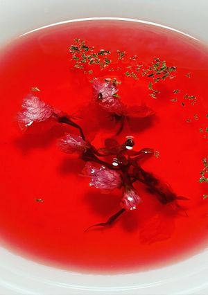 桜の和風スープ-レシピのメイン写真