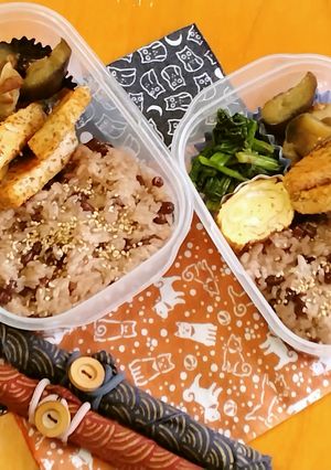 お弁当2024年3月19日-レシピのメイン写真