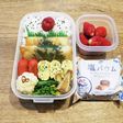 旦那弁当!春巻き・筍・菜の花!春弁当♪