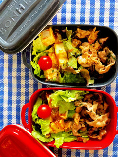 お弁当 記録用-レシピのメイン写真