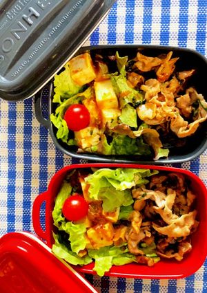 お弁当　記録用-レシピのメイン写真