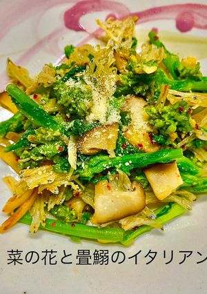 No3305菜の花と畳鰯のイタリアン-レシピのメイン写真