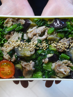 レンジで簡単★豚肉となすと小松菜の丼弁当-レシピのメイン写真