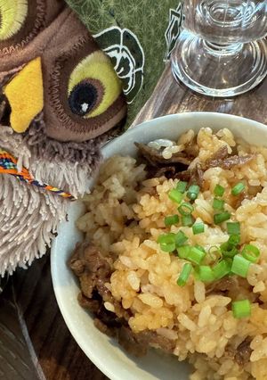 少ないお肉でも満足!お肉ごはん!-レシピのメイン写真