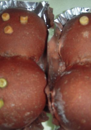 炊飯器で発酵パン(ダブルチョコ)-レシピのメイン写真