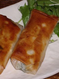 餃子春巻き-レシピのメイン写真
