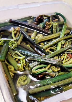 白だしでわらび煮！あっさり食べれますよ♡-レシピのメイン写真