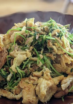 豆苗と卵・お麸のチャンプルー-レシピのメイン写真