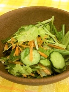 水菜のサラダ-レシピのメイン写真