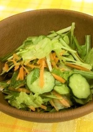 水菜のサラダ-レシピのメイン写真