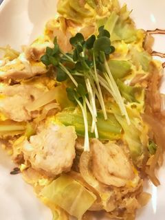 鶏ササミきゃべつ玉ねぎの卵とじ煮-レシピのメイン写真