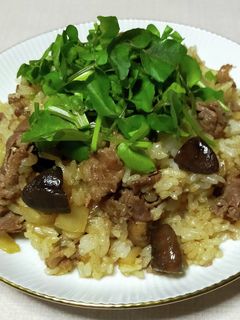 牛肉と生クレソンのピラフ-レシピのメイン写真