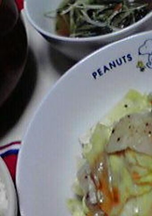 豚バラとキャベツのポン酢味-レシピのメイン写真