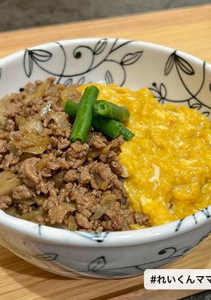スプーンが止まらない！玉ねぎ入りそぼろ丼-レシピのメイン写真