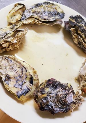 蒸し牡蠣-レシピのメイン写真