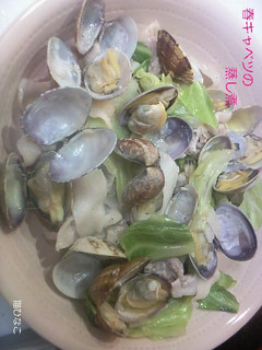 春キャベツとあさりの蒸し煮-レシピのメイン写真