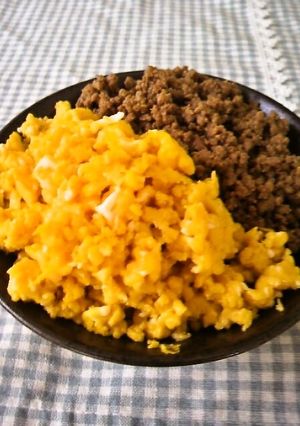 ご飯が進む♪二色そぼろ丼-レシピのメイン写真