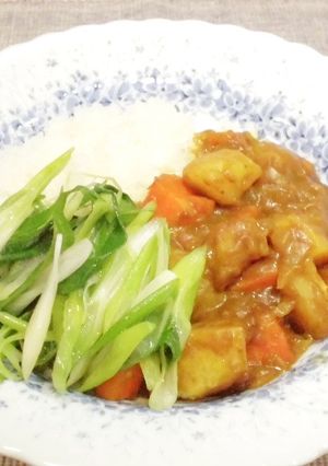 カレーの九条ねぎ添え-レシピのメイン写真