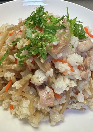 鶏ごぼう混ぜご飯(身内専用)-レシピのメイン写真