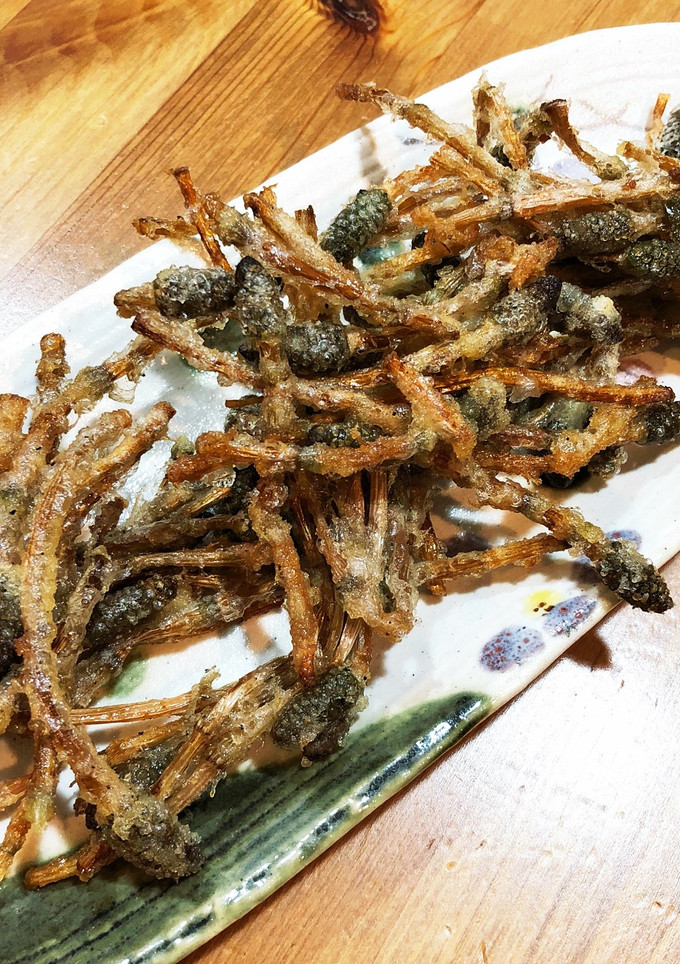 つくしの天ぷら、かき揚げ-レシピのメイン写真