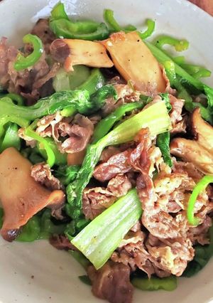 しゃきしゃきジューシー肉野菜炒め-レシピのメイン写真