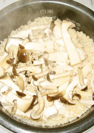 キノコの鶏釜めし-レシピのメイン写真