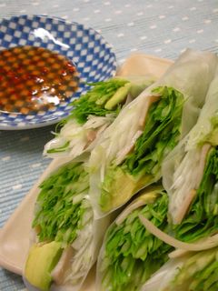 野菜モリモリ!!シャキシャキの生春巻き-レシピのメイン写真