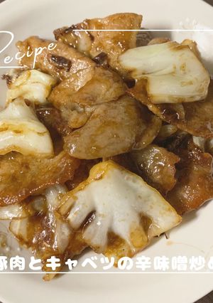 お弁当に！豚肉とキャベツの辛味噌炒め-レシピのメイン写真