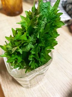 しそを新鮮に保存する方法-レシピのメイン写真